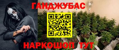 сатива Камышлов