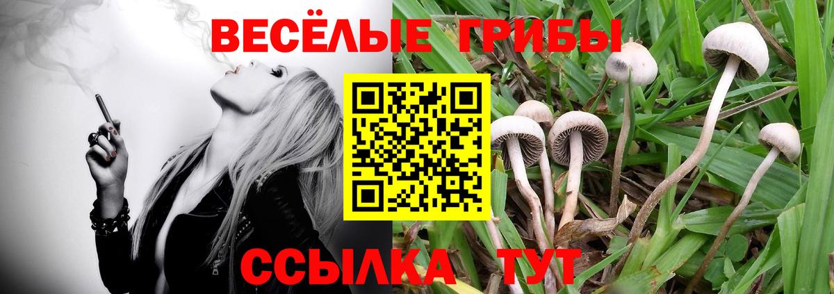 цена наркотик  Галлюциногенные грибы MAGIC MUSHROOMS  Вход с VPN  Кировск 